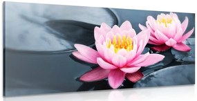 Quadro su tela – Fiore di loto nel lago