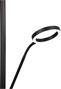 Lampada da terra a LED nera (altezza 180 cm) Willis - Trio