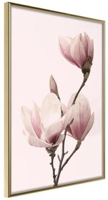 Poster  Blooming Magnolias III  Cornice Quadri Cornice d'oro, Larghezza x Altezza Home decor 20x30