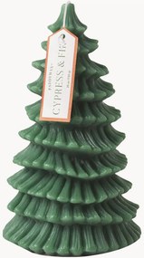 Candela a pilastro Cypress & Fir