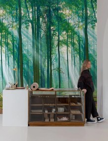 Fotomurale Bosco, verde