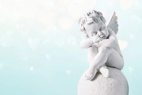 Carta da parati – Angioletto