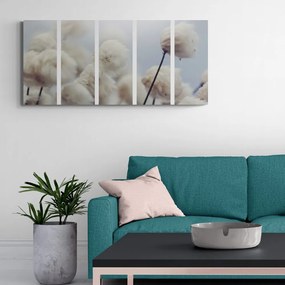 Quadri 5 pezzi – Fiori di cotone artico