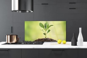 Pannello cucina paraschizzi Crescita delle piante di terra 100x50 cm