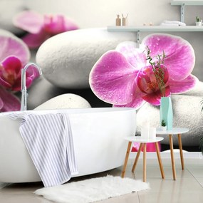 Carta da parati – Fiori di orchidea su pietre