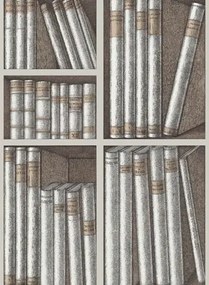 Fornasetti Bücher Tapete Ex Libris von Cole and Son - Stone