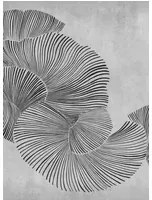 Coordonne Carta da parati panoramica Diving Moment - Black