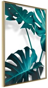 Poster  Turquoise Monstera II  Cornice Quadri Cornice d'oro, Larghezza x Altezza Home decor 30x45