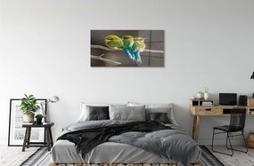 Quadro acrilico Uccelli sul ramo 100x50 cm