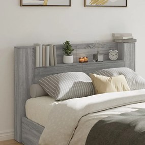 Testiera Con Contenitore A Led Grigio Sonoma 160x16,5x103,5 Cm /