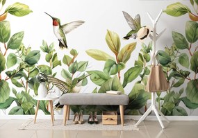 Carta da parati – Colibrì e foglie