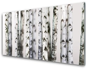 Quadro su vetro acrilico Alberi della natura 100x50 cm