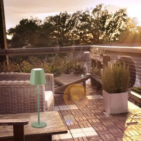 Leuchten Direkt 19250-43 - LED Lampada ricaricabile da esterno EURIA LED/3W/5V IP54