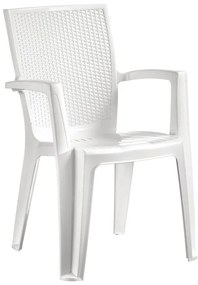 Sedia da giardino con braccioli Giava NEW GARDEN, 4 pezzi, struttura e seduta in polipropilene bianco