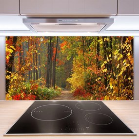Pannello paraschizzi cucina Natura Foresta d'autunno 100x50 cm
