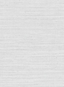 Arte International Carta da parati Lignes - Washed White