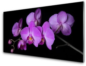 Quadro su vetro acrilico Orchidea Fiori di orchidea 100x50 cm