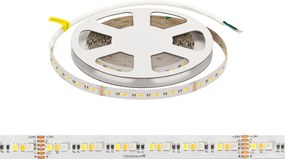 Striscia LED Professionale RGB+CCT Multicolore 24V 20W/m - IP20 - 5 metri
