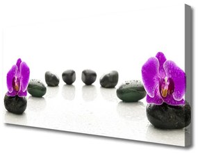 Quadro su tela Fiore di ciottoli di orchidee 100x50 cm