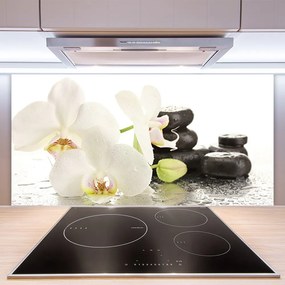 Pannello cucina paraschizzi Pianta di pietre di fiori 100x50 cm