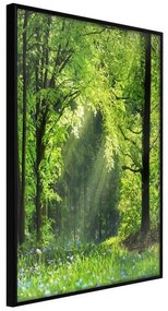 Poster  Forest Path  Cornice Quadri Cornice nera, Larghezza x Altezza Home decor 20x30