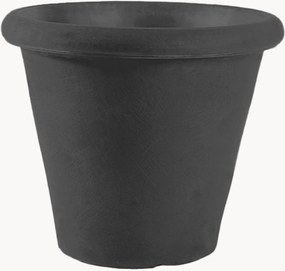 Portavaso Camelia