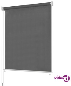 vidaXL Tenda a Rullo per Esterni 120x140 cm Antracite