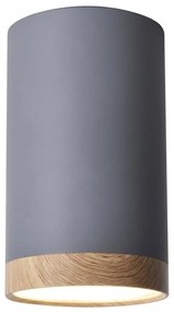 Plafoniera LED TUBA LED/9W/230V