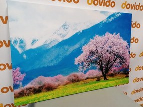 Quadro su tela – Albero magico tra le montagne