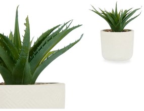 Pianta Decorativa Succulenta Plastica 14 x 18 x 14 cm (12 Unità)