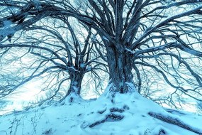 Carta da parati – Arrivo dell'inverno