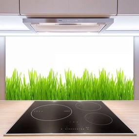 Pannello paraschizzi cucina Erba, piante, natura 100x50 cm