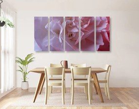Quadri 5 pezzi – Petali di garofano