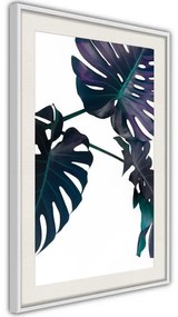 Poster  Evergreen Monstera  Cornice Quadri Cornice nera con pass-partout, Larghezza x Altezza Home decor 40x60