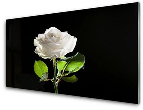 Quadro su vetro acrilico Natura della pianta del fiore della rosa 100x50 cm