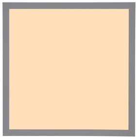 Globo 416080AD1 - Plafoniera LED DORO LED/12W/230V 3000K 30x30 cm