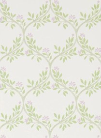 Nina Campbell Tapete Arber - Sage/ Lilac