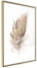 Poster  Lost Feather (Beige)  Cornice Quadri Cornice d'oro, Larghezza x Altezza Home decor 40x60