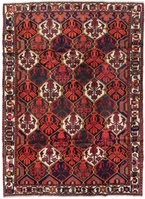 Bakhtiar Tappeto 200 x 270 (Iran) Annodato A Mano