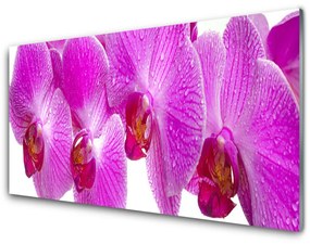 Pannello retrocucina Fiori, piante, natura 100x50 cm