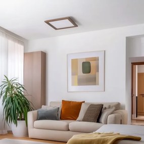 Eglo -LED Pannello fisso dimmerabile POZZALLO LED/21W/230V 2700-6500K marrone scuro + +TC