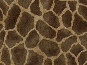 Wild cuscino in collezione Wild in microfibra impermeabile giraffa