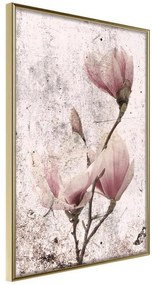 Poster  Queen of Spring Flowers II  Cornice Quadri Cornice d'oro, Larghezza x Altezza Home decor 20x30