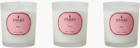 Set di 3 candele profumate fatte a mano Vintage Aromatherapy (acqua di rosa, fiori bianchi e muschio morbido)