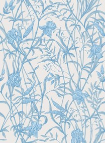 Cole & Son Carta da parati Iris - Soft Cerulean on Porcelain