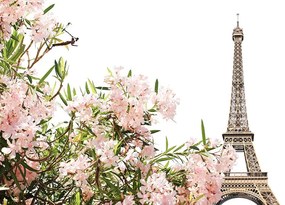 Carta da parati – Torre Eiffel e fiori rosa