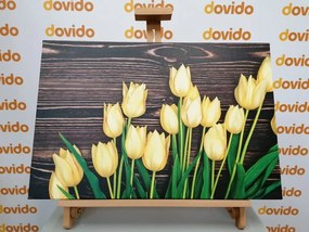Quadro su tela – Incantevoli tulipani gialli su sfondo di legno