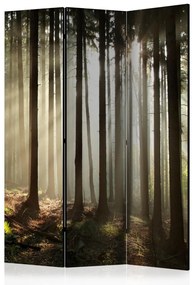 Paravento separè Foresta di conifere - nebbia mattutina (3 parti) - paesaggio boschivo