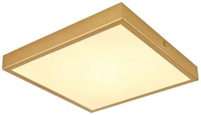 Globo 12382-15 - Plafoniera LED TIBEY LED/15W/230V 25x25 cm