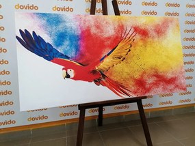 Stampa su tela – Volo di pappagallo